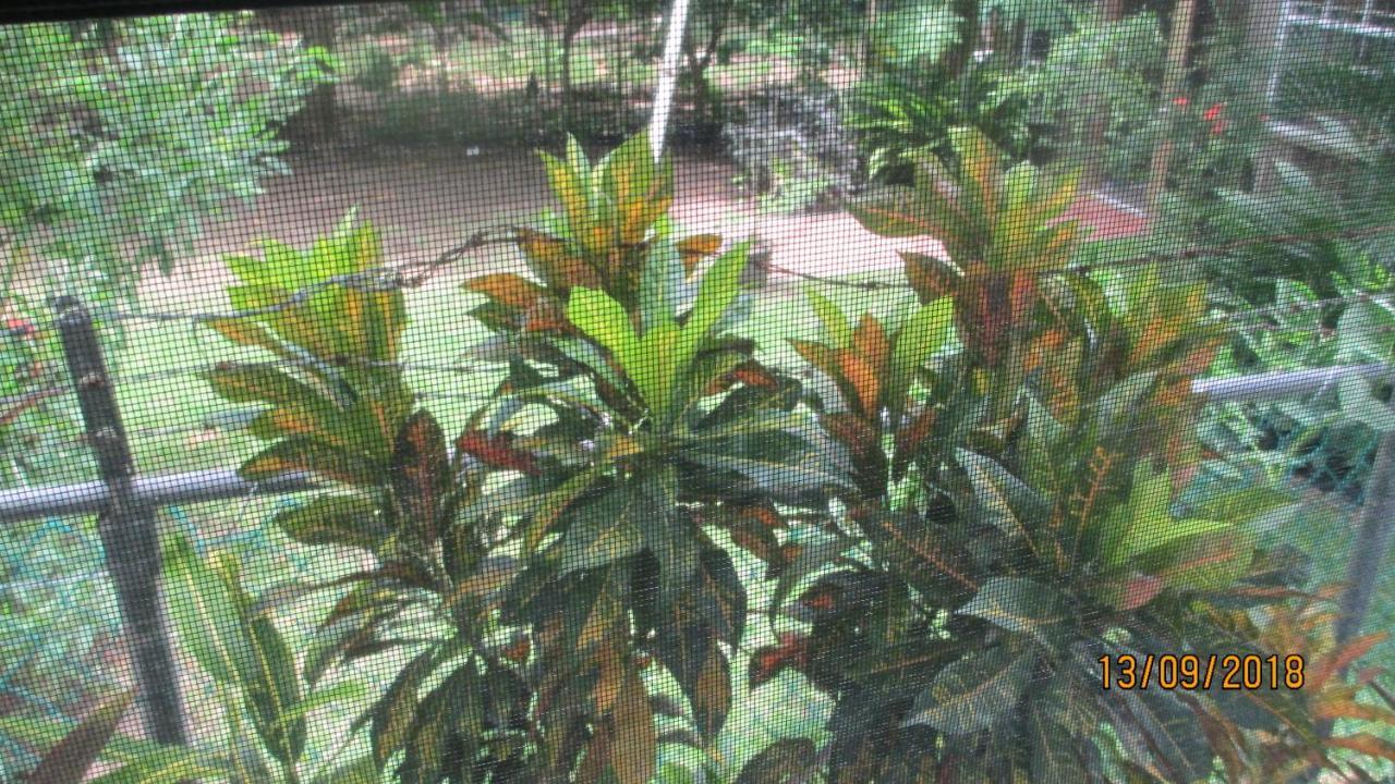 Tropical Breeze Vacation Home And Apartments Gros Islet Eksteriør bilde
