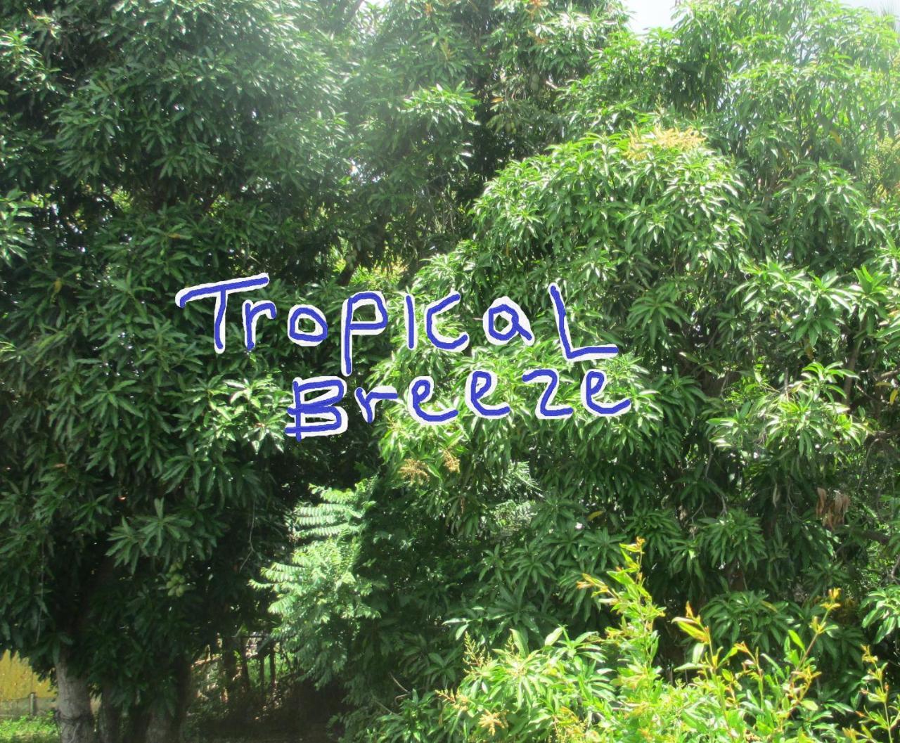 Tropical Breeze Vacation Home And Apartments Gros Islet Eksteriør bilde